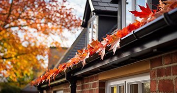 Why Choose Our Gutter Cleaning Services in Southgate?