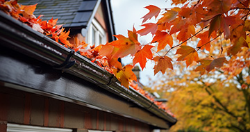 What Makes Our Gutter Cleaning Services in Tufnell Park Unique?
