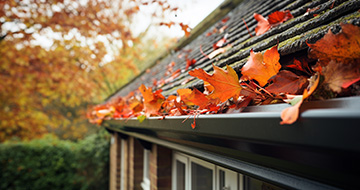Here's How Professional Gutter Cleaners in South West London Get the Job Done