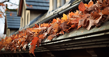 What Make Our Gutter Cleaning Services in Blackheath Unparalleled?