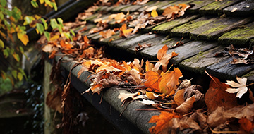 What Are the Benefits of Our Gutter Cleaning Services in Brockley?