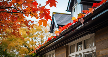 What Makes Our Gutter Cleaning Services in Camberwell Stand Out?