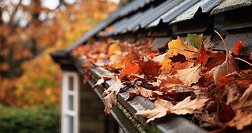 What Sets Our Gutter Cleaning Services in Crofton Park Apart?