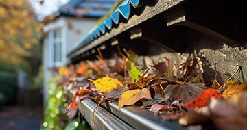 What Makes Our Gutter Cleaning Services in Crystal Palace Stand Out?