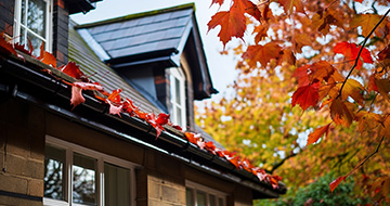 Why Choose Our Gutter Cleaning Services in Greenwich?
