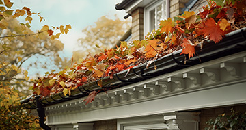 What Makes Our Gutter Cleaning Services in Hither Green Stand Out?