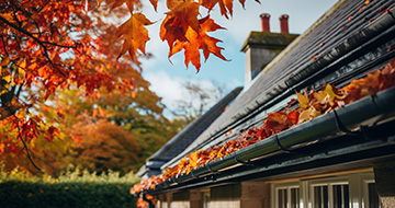 What Makes Our Gutter Cleaning Services in Pimlico Unique?