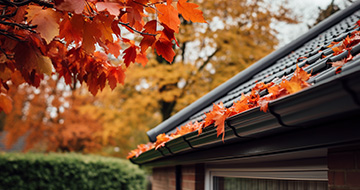 What Sets Our Gutter Cleaning Services in Streatham Apart?