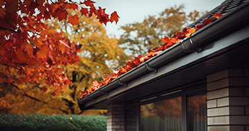 Why Choose Our Gutter Cleaning Services in Westminster?