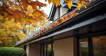Quality Gutter Cleaning Services in Bloomsbury: What You Can Expect 