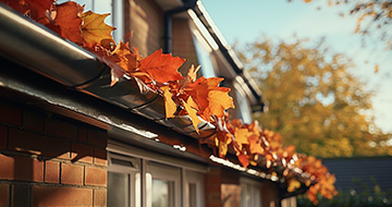 Why Choose Our Gutter Cleaning Services in Clapton?