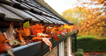 What Makes Our Gutter Cleaning Services in Forest Gate an Exceptional Value?