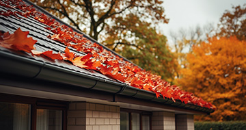 Why Choose Our Gutter Cleaning Services in Homerton?