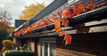 How Do Our Gutter Cleaning Services in Wapping Stand Out?