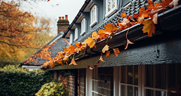 Gutter Cleaning Services in Woodford: An Unbeatable Option