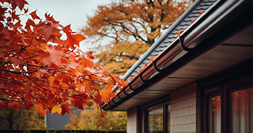 Why Choose Our Gutter Cleaning Services in Edgware?