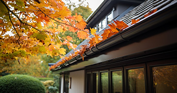 What Makes Our Gutter Cleaning Services in Euston Unbeatable?