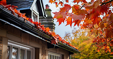 What Benefits Do Our Gutter Cleaning Services in Walworth Provide?
