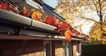 Why Choose Our Gutter Cleaning Services in Hampstead?
