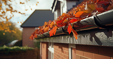 Why Choose Our Gutter Cleaning Services in Primrose Hill?