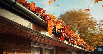 What Makes Gutter Cleaning in Shirley an Easy Choice?