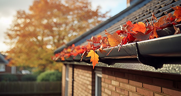 What Makes Our Gutter Cleaning Services in Thornton Heath Unbeatable?