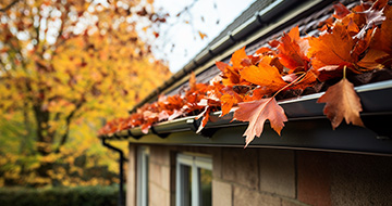 What Sets Our Gutter Cleaning Services in Bexley Apart?