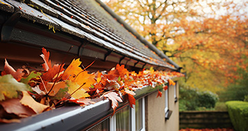 Here's How Professional Gutter Cleaners Get the Job Done