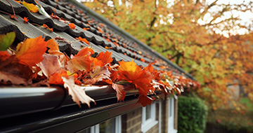 How Our Gutter Cleaning Services in Blackfen Are Superior to the Rest?