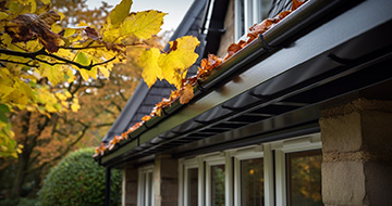 Why Choose Our Gutter Cleaning Services in Kenton? 