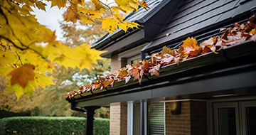 What Are the Benefits of Professional Gutter Cleaning in Stanmore?