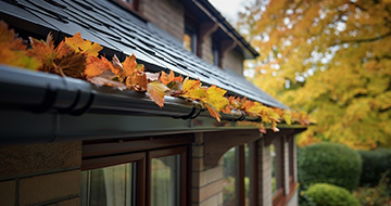 .Why Choose Our Gutter Cleaning Services in Sudbury?