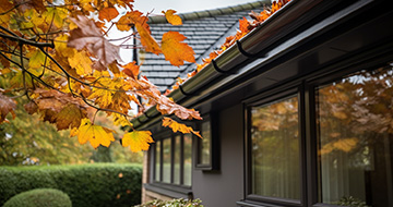 Professional and Quality Gutter Cleaning Services in Chessington