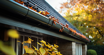 Here's How Professional Gutter Cleaners Get the Job Done