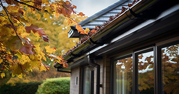 What Makes Gutter Cleaning Services in Wallington Stand Out?