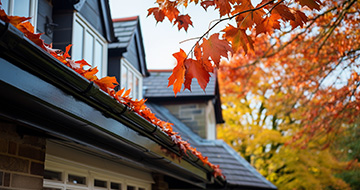 Safe, Tidy and Access-Aware Gutter Cleaning in Swindon