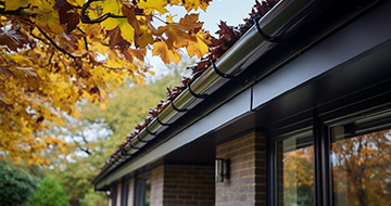Why Choose Our Gutter Cleaning Services in Redbridge?