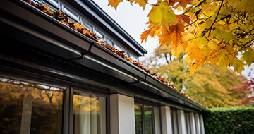 What To Expect From Our Islington Gutter Cleaning Service