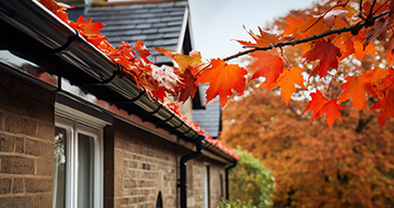 What Our Gutter Cleaning Service in Hawes Offers