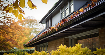 How to Clean Your Gutters: Step-by-Step Guide