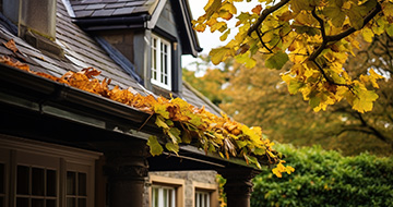 What Are the Benefits of Gutter Cleaning Services in Colliers Wood?