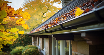 What Makes Gutter Cleaning from Fairlop Experts Unbeatable?