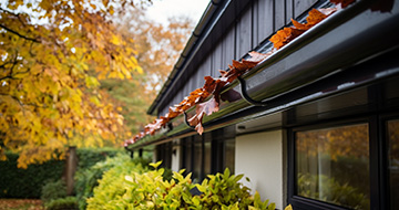 What Sets Our Gutter Cleaning Services in Ferndale Apart?