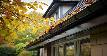 Why Choose Our Gutter Cleaning Services in Fortis Green?