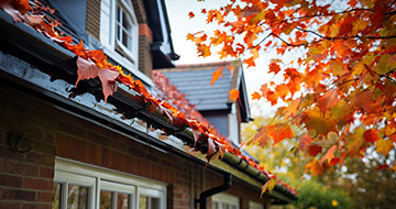 Why Choose Us for Gutter Cleaning Services in Earlsfield?