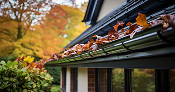 :Why Choose Our Gutter Cleaning Services in Horn Park?