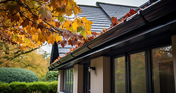 How Does Our Gutter Cleaning in Hyde Park Stand Out?