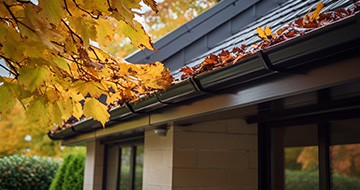 What Makes Gutter Cleaning Services in Roxeth Stand Out?