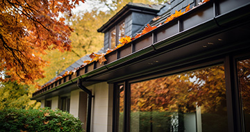 Why Choose Our Gutter Cleaning Services in St Anns?