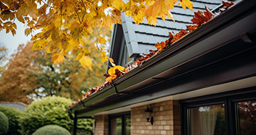 What Makes Gutter Cleaning from St John's Experts Unbeatable?
